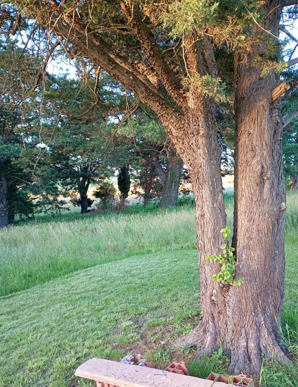 Casa De Campo El Duraznillo تانديل المظهر الخارجي الصورة